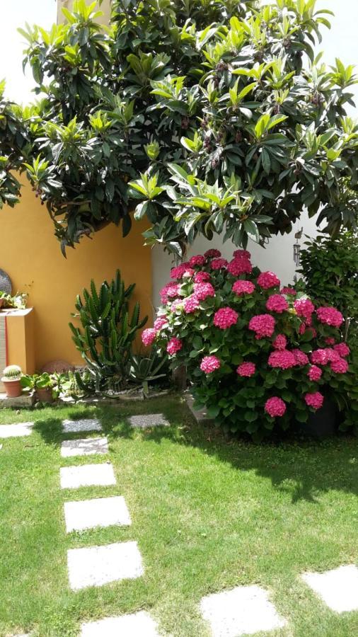 Appartamenti San Vito San Vito  Exterior foto